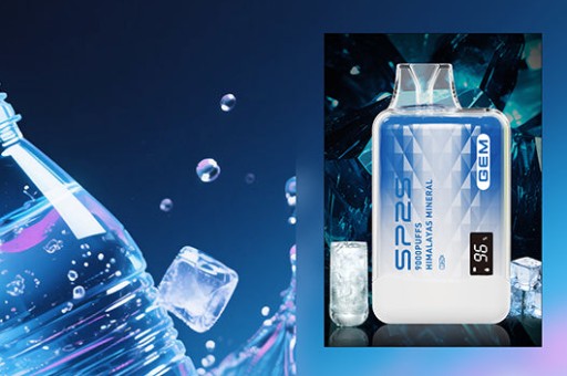 【換機指南】買Sp2國際版還是哩啞布紋？口感、價格與CP值大PK